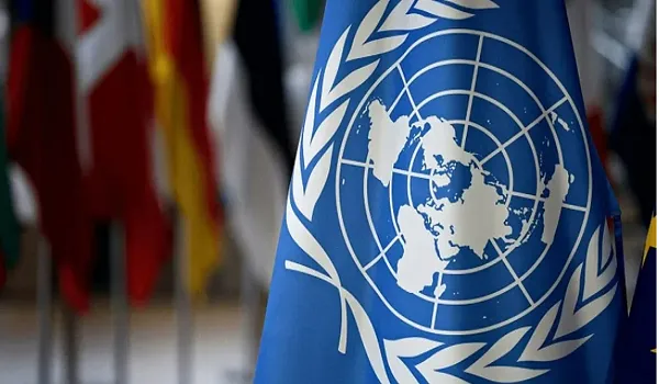  الأمم المتحدة لحقوق الإنسان 